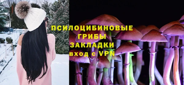 спиды Навашино